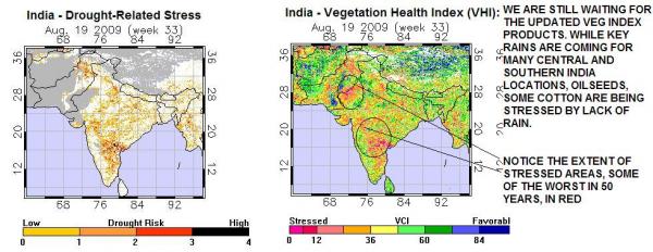 ZINDIA5.JPG