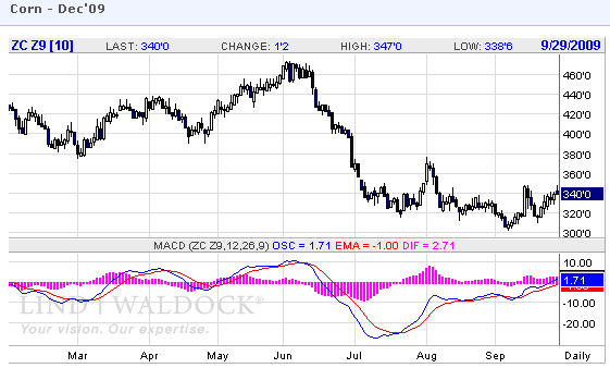 Cajigas_corn_9-29-09.png