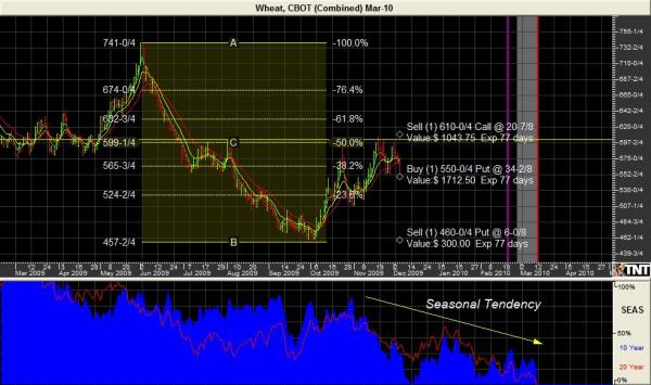 March_Wheat_12-07_2.JPG