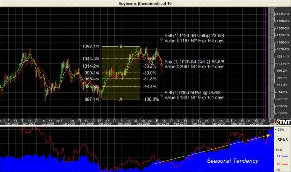 soybeans0710.JPG