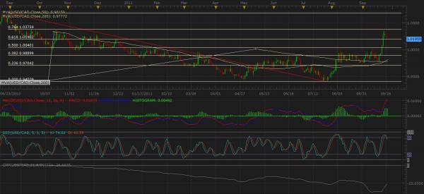 usd_cad_daily.jpg