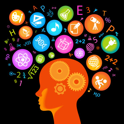 brain-2.jpg
