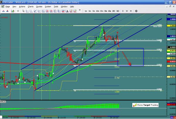 usdcad-ws1-19.jpg