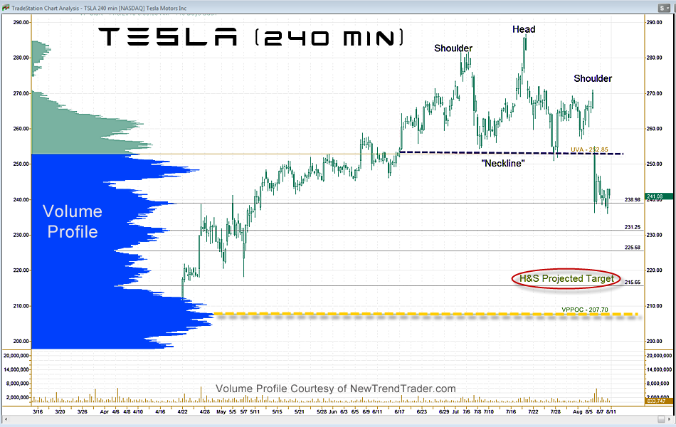 Reid_TSLA_8.11.15.png