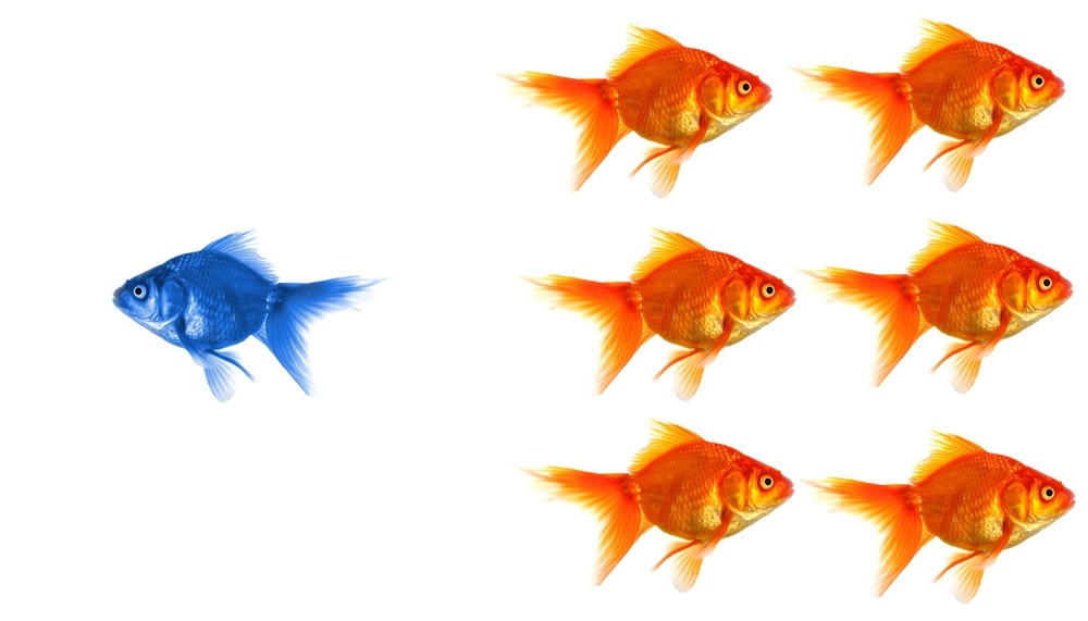 Trading Get You Angry? Here’s the Fix